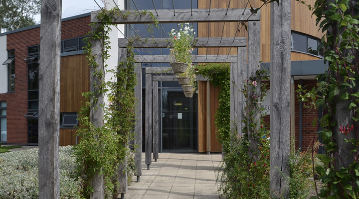 Arboricultural consultancy and tree survey services
