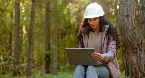Badger Surveys North West