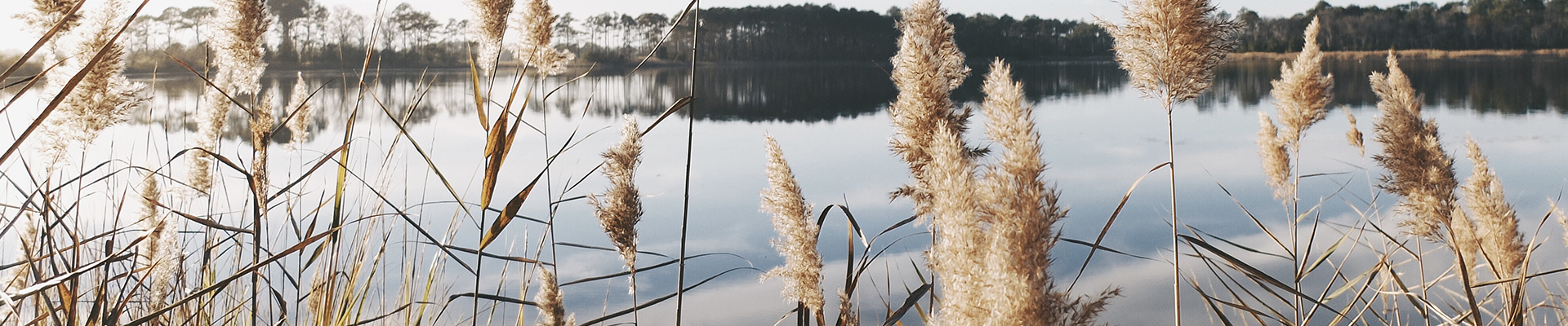 Ecology survey and mitigation project support