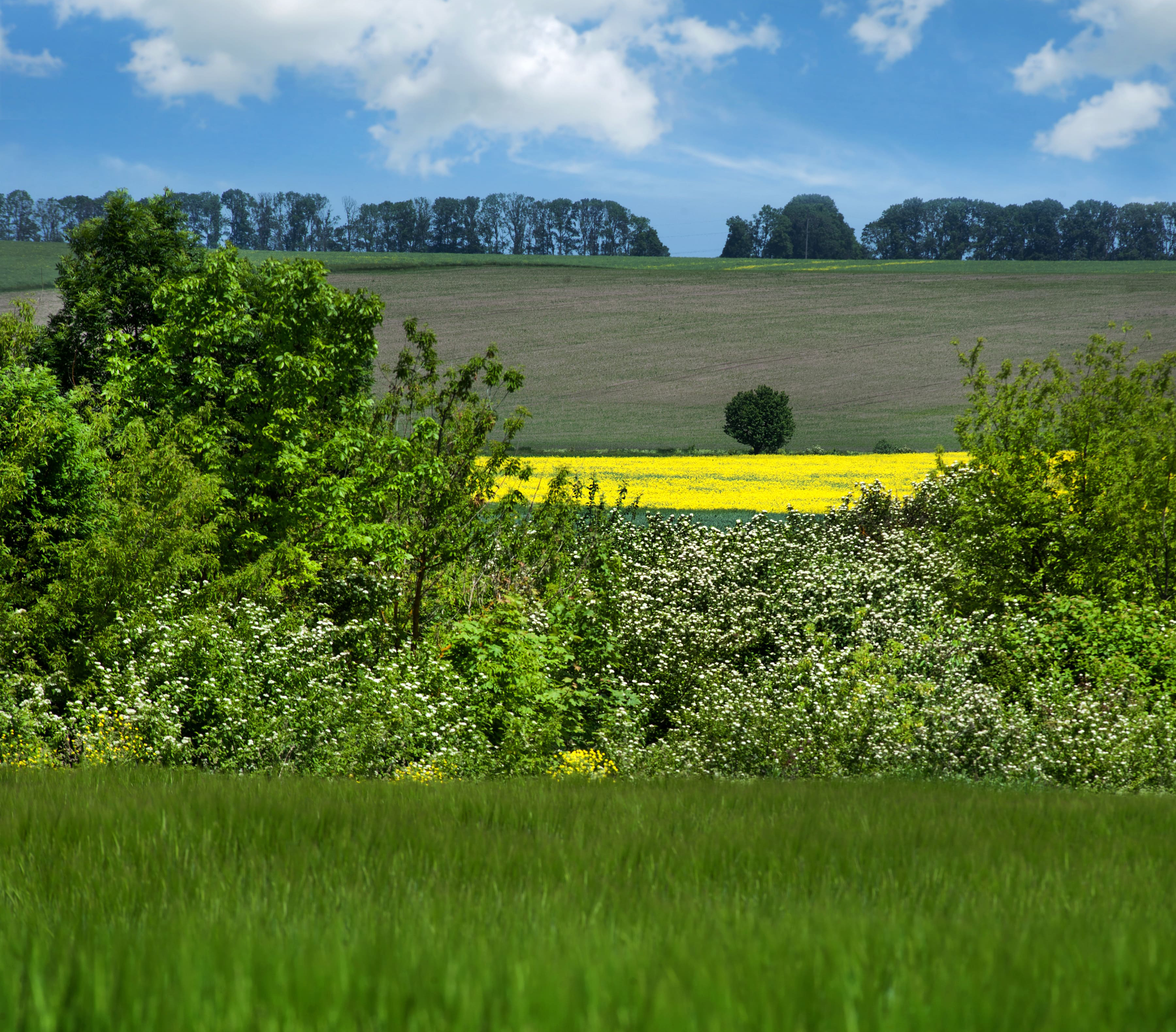 Landscape and Visual Impact Assessment